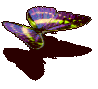 forum17.gif